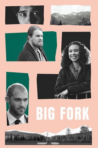 Big Fork (2020) poster