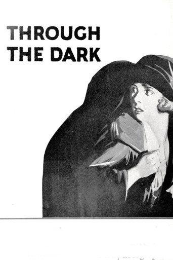 Through the Dark (1924) poster