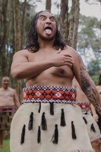 NZ Wars - The Stories Of Ruapekapeka (2017) poster