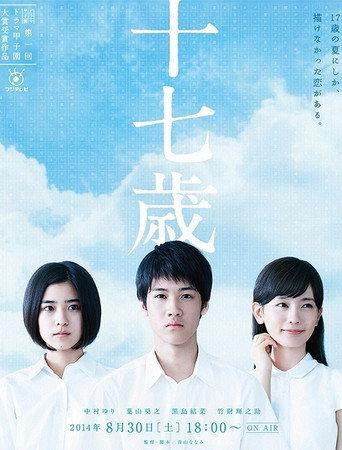 十七歲 (2014) poster
