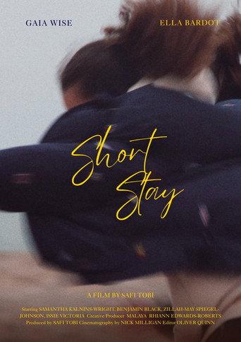 Short Stay () poster