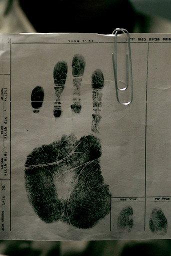 Night and Fog (2011) poster