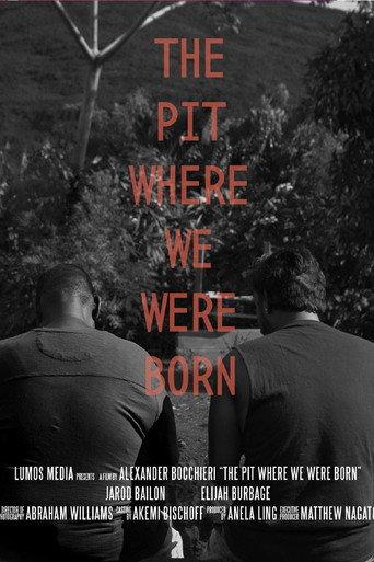 The Pit Where We Were Born (2020) poster