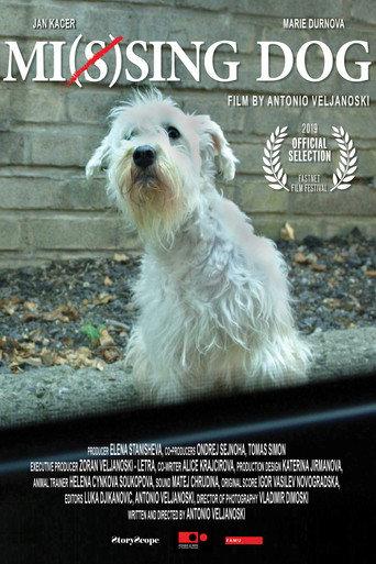 Mi(s)sing Dog (2019) poster