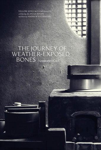 The Journey of Weather-Exposed Bones (2026) poster