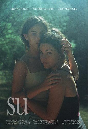 Su (2016) poster