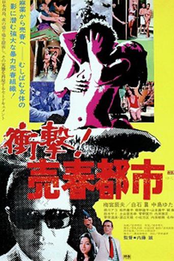 City of Corruption (1974) poster