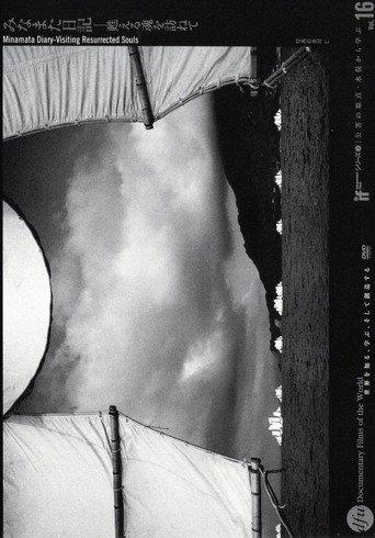 Minamata Diary: Visiting Resurrected Souls (2004) poster