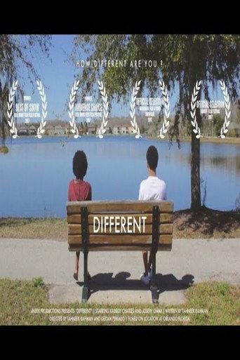 DIFFERENT (2017) poster