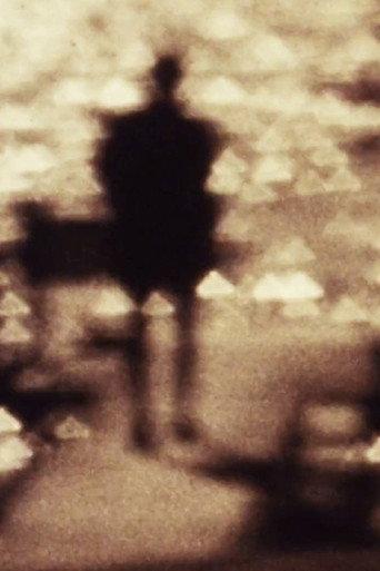Elemental Vision or a film for the rest of my life (2025) poster