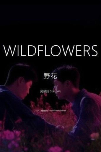 Wildflowers () poster