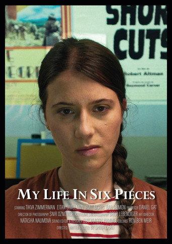 My Life in Six Pieces () poster