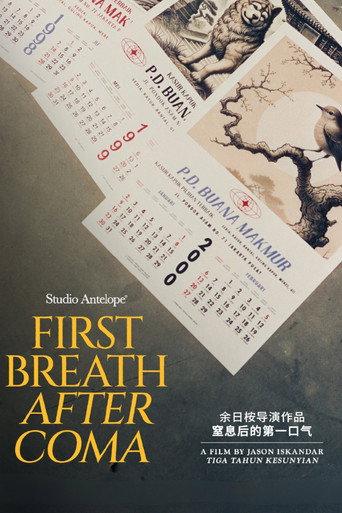First Breath After Coma () poster