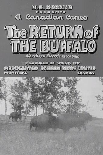 Return of the Buffalo (1938) poster