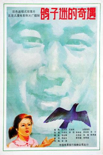 鸽子迷的奇遇 (1987) poster