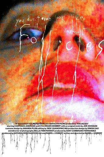 FOLLICLES () poster