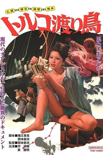 Sapporo, Yokohama, Ogoto, Hakata: Turkish Migratory Birds (1975) poster
