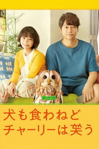 Everything Will Be Owlright! (2022) poster