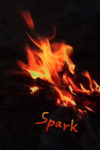 Spark (2013) poster