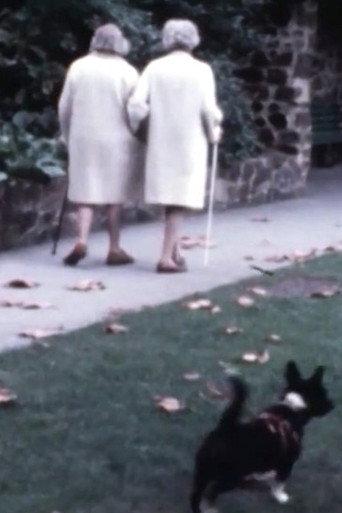 We Are All Alone My Dear (1977) poster
