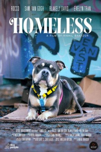 Homeless (2024) poster
