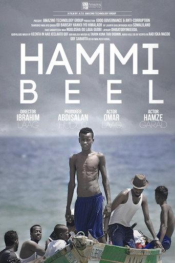 Hammi Beel () poster
