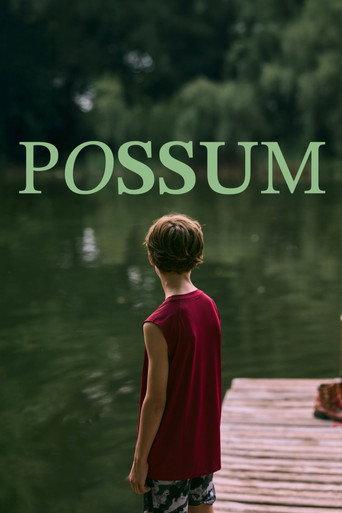 Possum () poster