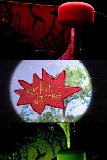 SKATE-MITES () poster