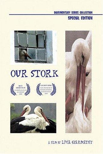Our Stork (2000) poster