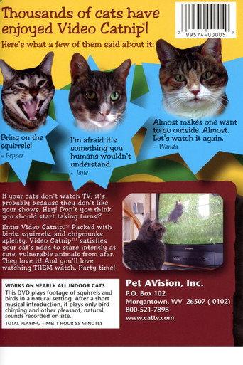 Video Catnip (2002) poster