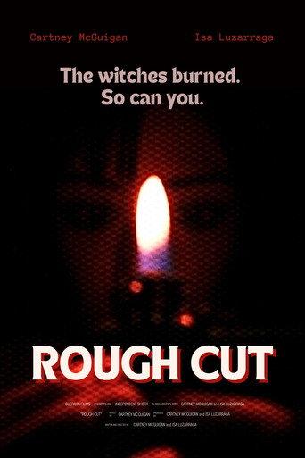 Rough Cut () poster