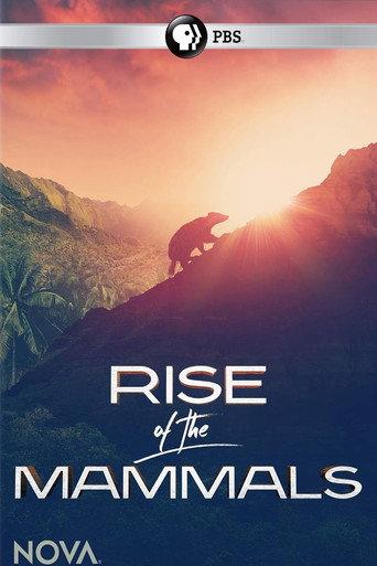 Rise of the Mammals (2019) poster
