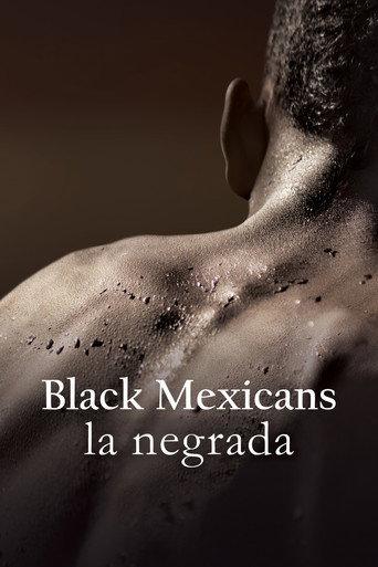 Black Mexicans (2018) poster
