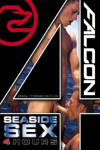 Seaside Sex (2010) poster