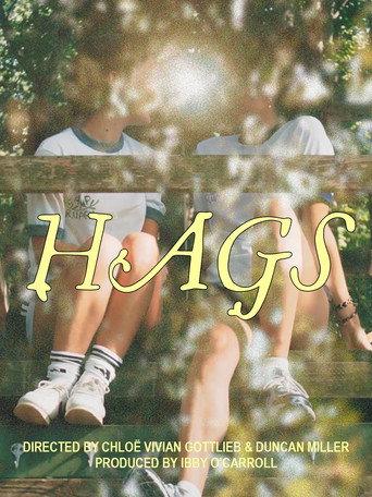 HAGS () poster