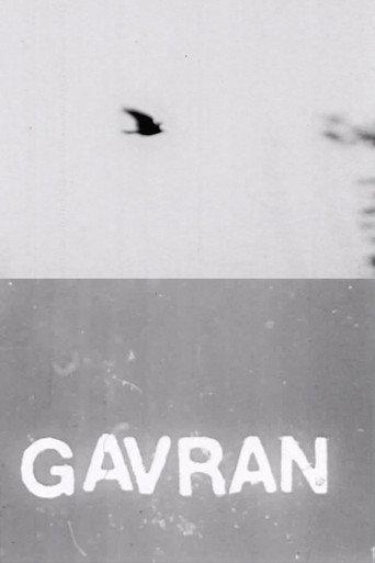 The Raven (1973) poster