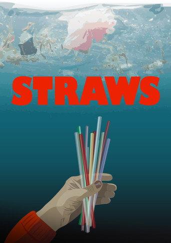 Straws (2017) poster