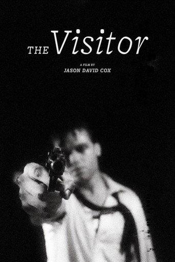 The Visitor (2026) poster