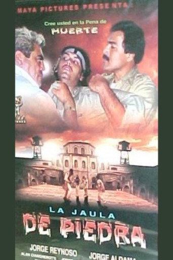 La jaula de piedra (2002) poster