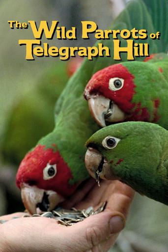 The Wild Parrots of Telegraph Hill (2003) poster