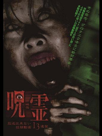 13 Submitted Ghost Videos That Cannot be Broadcast (2014) poster