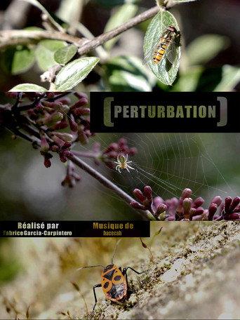 Perturbation (2020) poster