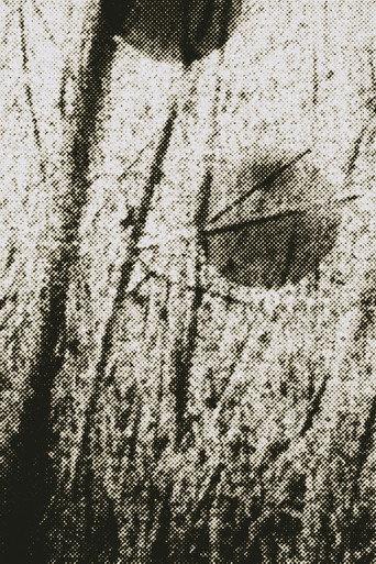 Across the Field (1992) poster