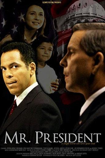 Mr. President (2007) poster