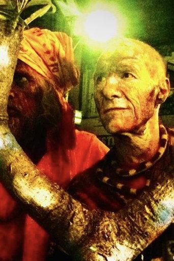 Faust Sonnengesang IV (2021) poster