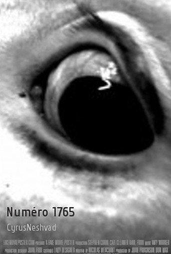 Numéro 1765 (2009) poster
