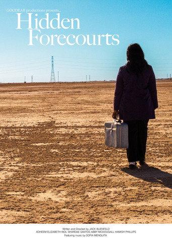 Hidden Forecourts () poster