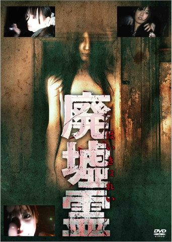 Ruins Spirit (2011) poster