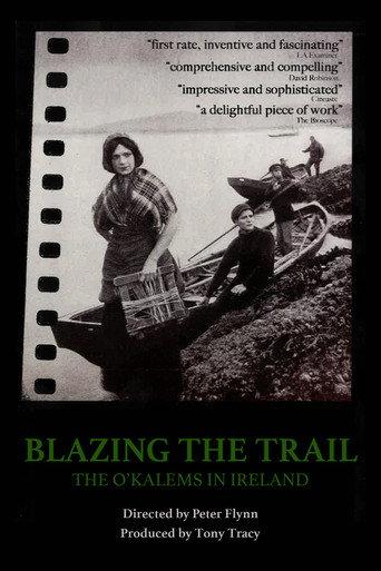 Blazing the Trail: The O'Kalems in Ireland (2011) poster