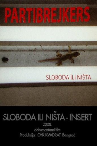 Nothing But Freedom (2008) poster